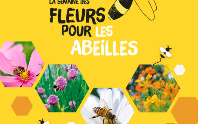 La Semaine des Fleurs pour les abeilles