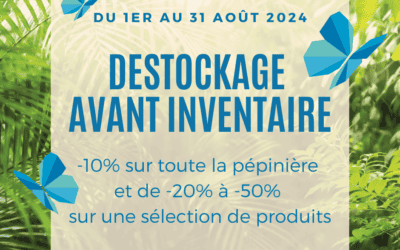 DESTOCKAGE AVANT INVENTAIRE