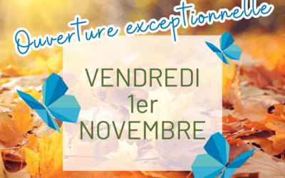 Ouverture exceptionnelle 1er novembre 2024