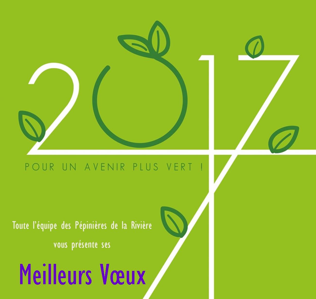 Meilleurs Vœux 2017