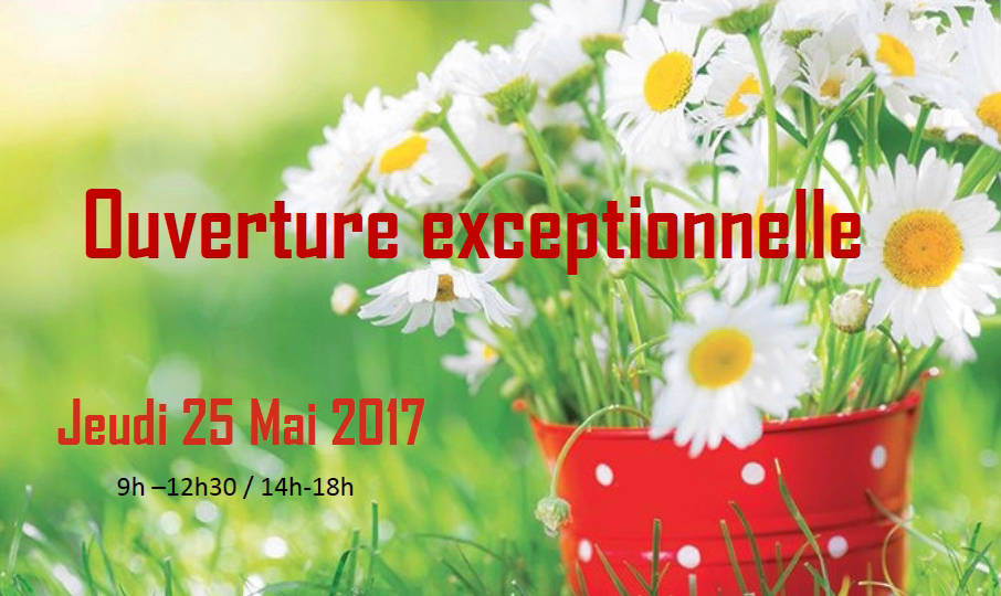 Ouverture exceptionnelle jeudi 25 mai 2017