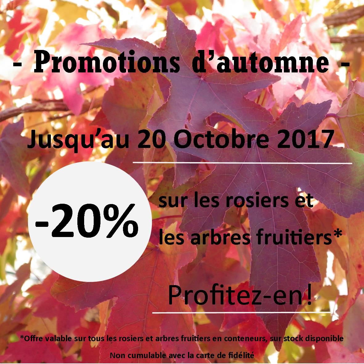 Promotions d&rsquo;automne