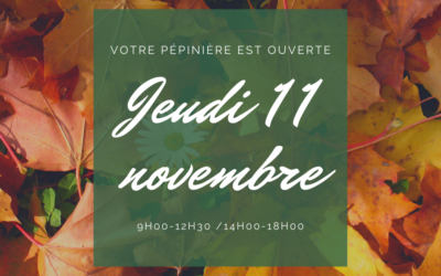 Ouverture exceptionnelle jeudi 11 novembre 2021