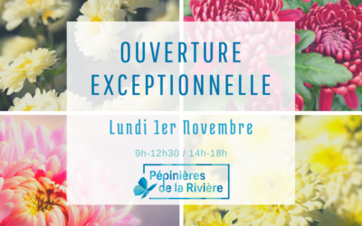 Ouverture exceptionnelle lundi 1er Novembre 2021