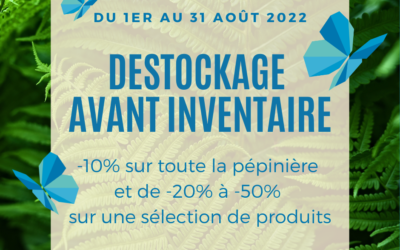 Déstockage avant inventaire